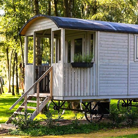 Glamping - 25 Min Roermond, Maasmechelen & Maastricht Hotell Kinrooi Exteriör bild