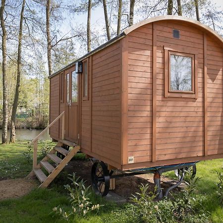Glamping - 25 Min Roermond, Maasmechelen & Maastricht Hotell Kinrooi Exteriör bild